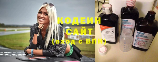сатива Чердынь
