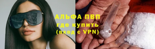 сатива Чердынь