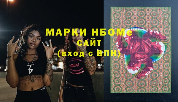 сатива Чердынь