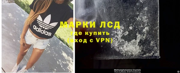 сатива Чердынь