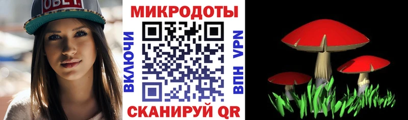 Галлюциногенные грибы Magic Shrooms где найти наркотики Мостовской